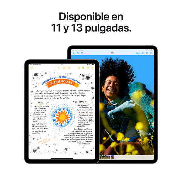iPad Air 11" Chip M2 1TB Gris espacial