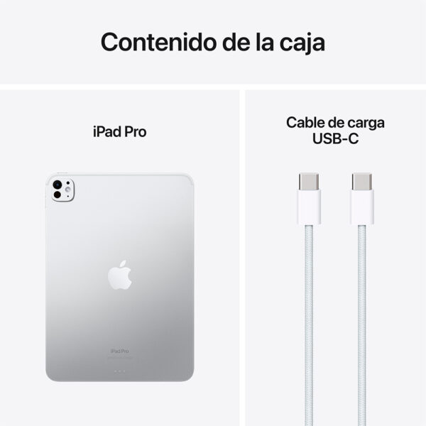 iPad Pro 11" Chip M4 256GB Plata