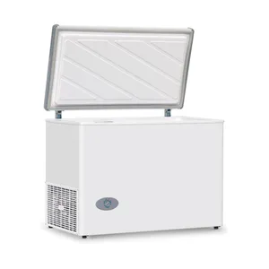 Freezer Sigma FH3300BP 290Lt