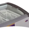 Freezer Inelro FIH 350PI Plus 279 lts.
