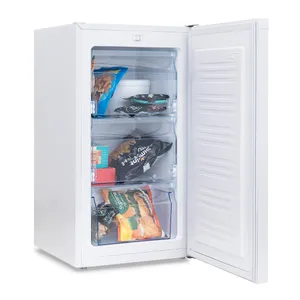 Freezer Vertical FSI-CV065B Siam 65LTS